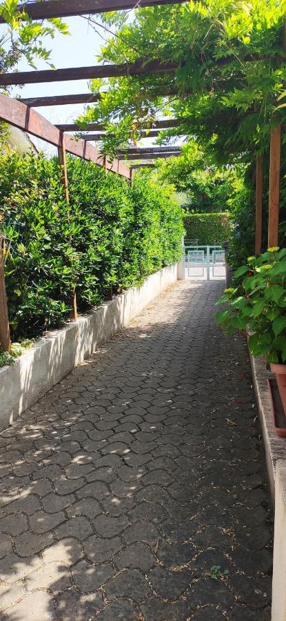 Le Gabian, Duplex Proche Plage Et Centre ساناري سور مير المظهر الخارجي الصورة